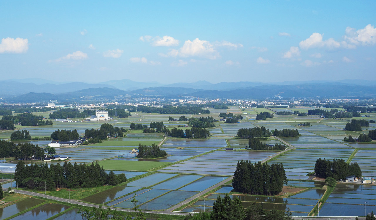 円万寺から見下ろす水田の風景